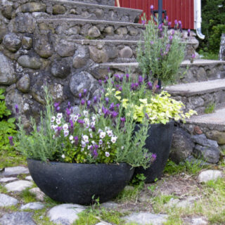 FORM OG FARGE 2