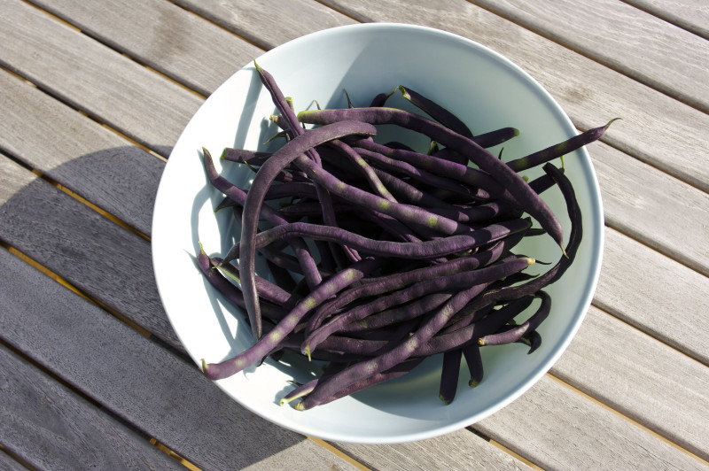 Blauhilde greenbeans