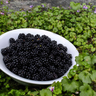 FORRÅTNELSE