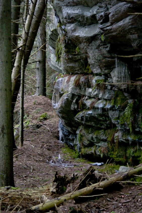 Fjellhyllen