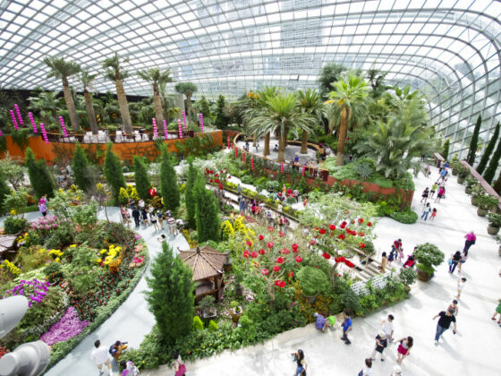 GARDENS BY THE BAY PART THREE