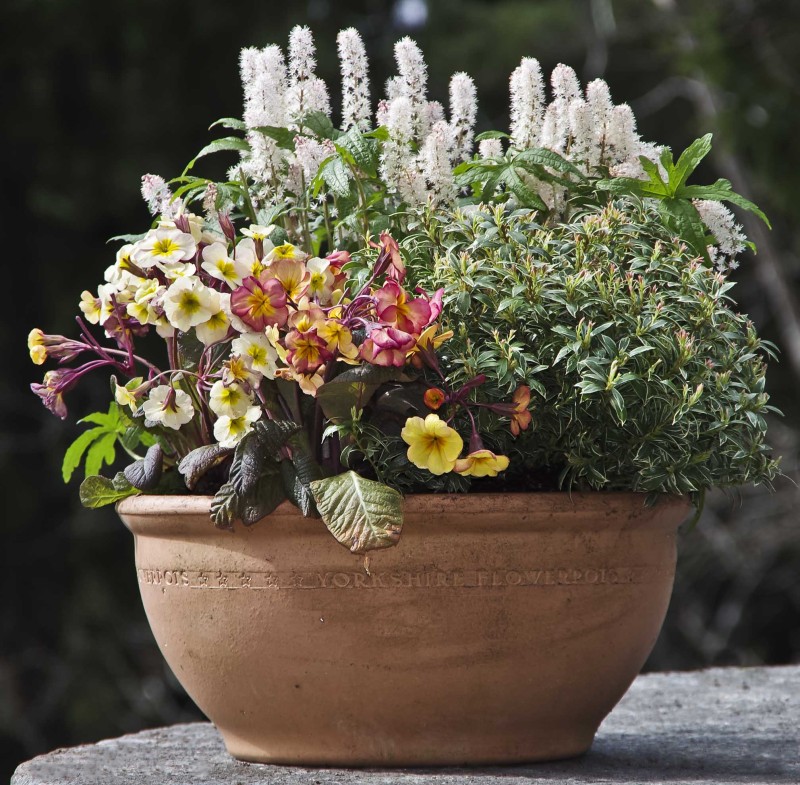PLANTE I KRUKKER
