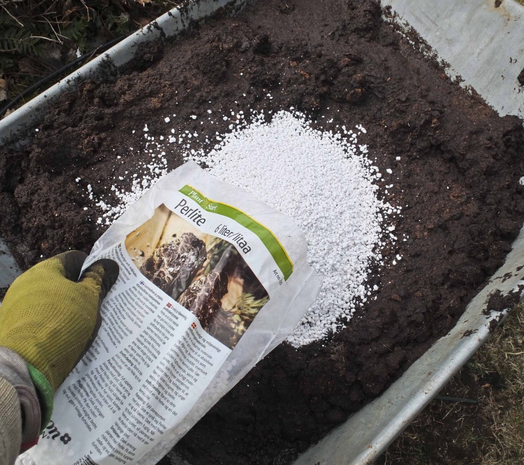 Valg av planter. Planen her er å bruke noen av de mest herdige, og la resten stå litt til i drivhuset.