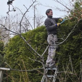 PLANTER I KRUKKER NÅ I STARTEN AV MAI