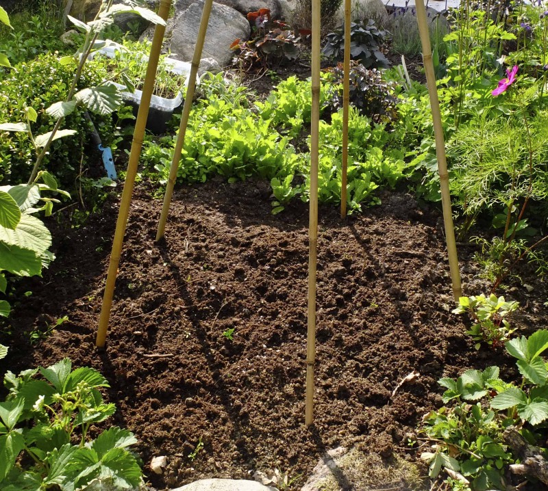 BLOMSTERTIPI