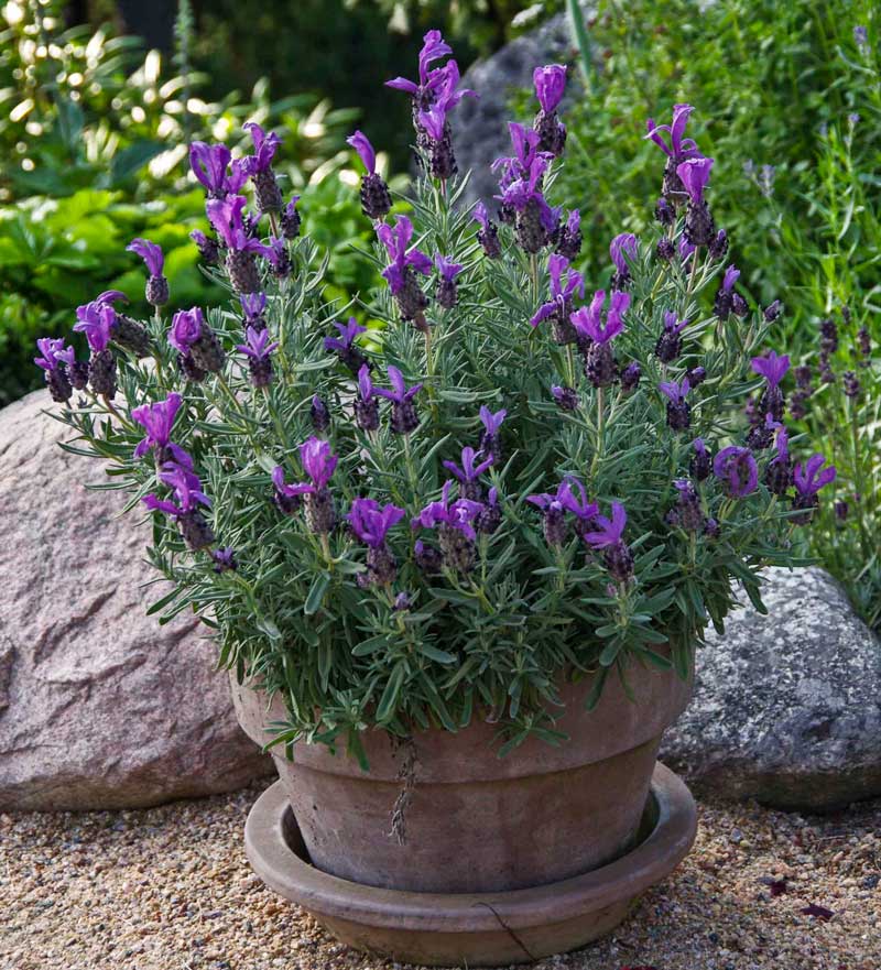 Summercontainers_3