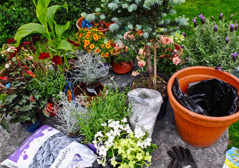 Det er sykt gøy og bruke litt av feriepengene på noen planter og litt "kit". En hel del morsommere enn å prøve bikini!