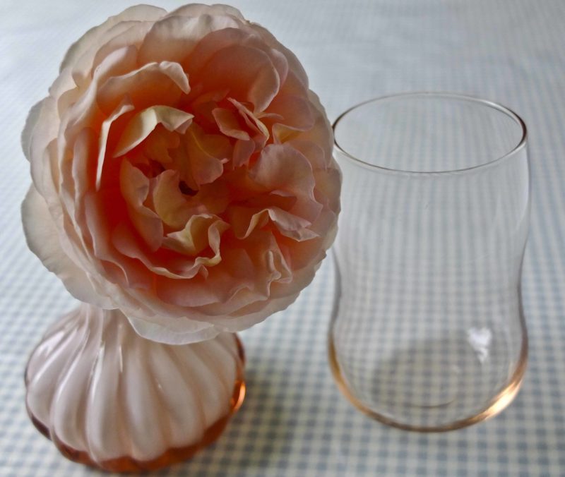 Abraham Darby rose28_