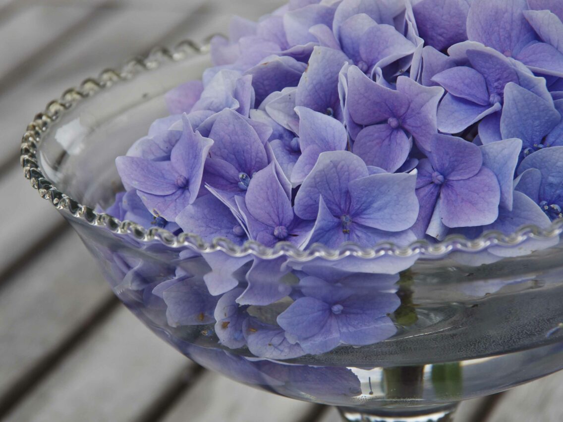BLOMSTER I VASER
