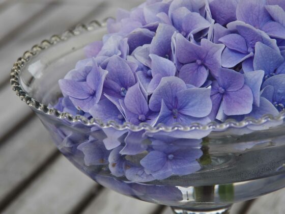BLOMSTER I VASER