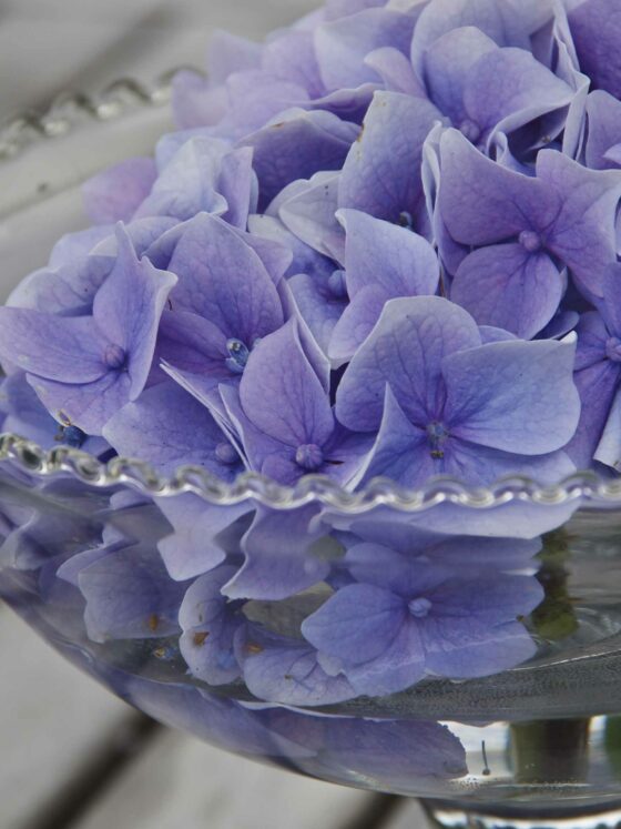 BLOMSTER I VASER