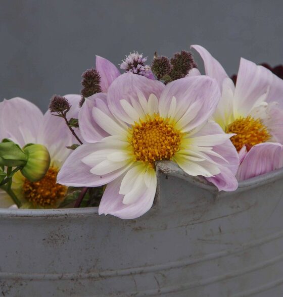 BLOMSTER I VASE