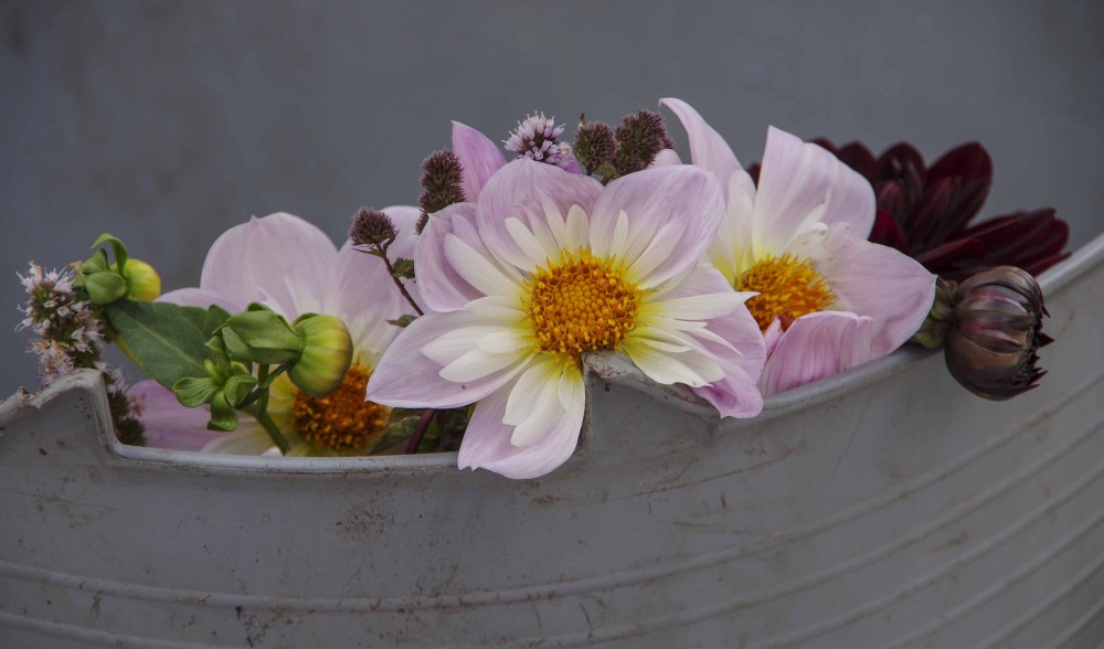 BLOMSTER I VASE