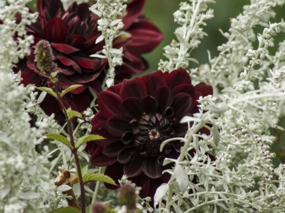 BLOMSTER I VASE
