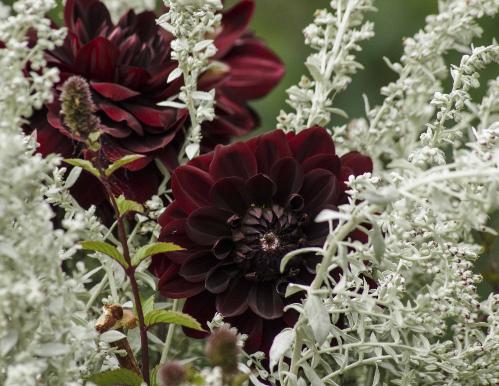 BLOMSTER I VASE