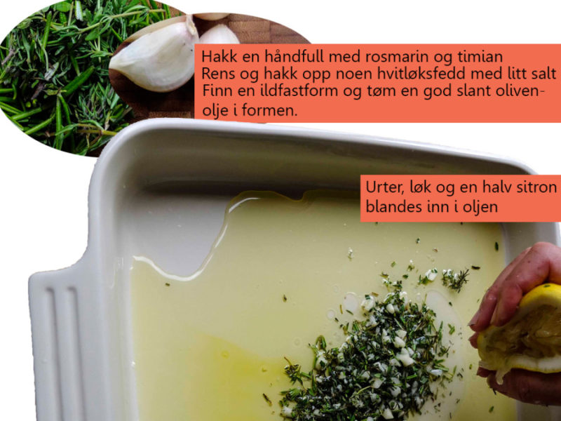 Andebryst_krydret_20_