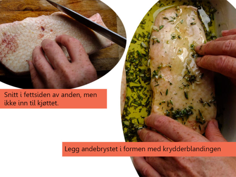 Andebryst_skaaret21_