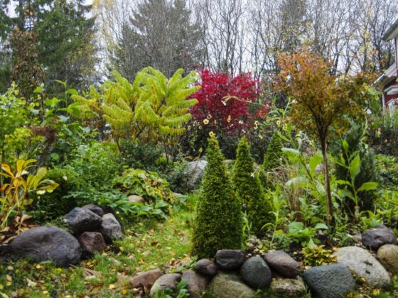 HAGEN I OKTOBER