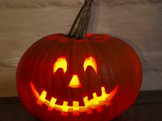 SLIK LAGER DU HALLOWEENGRESSKAR