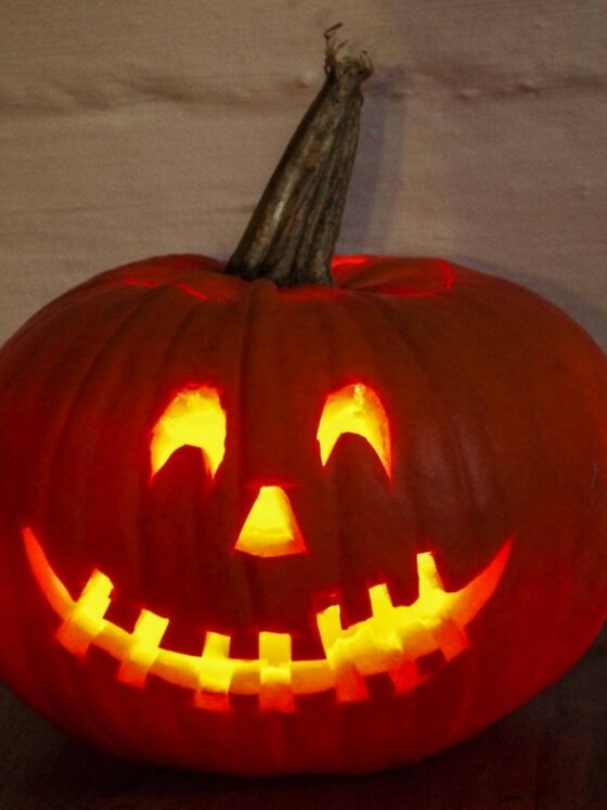SLIK LAGER DU HALLOWEENGRESSKAR