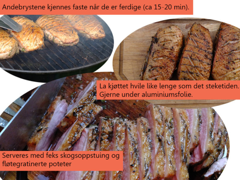 andebrystene_ferdig25_