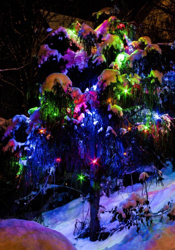 julegran20_