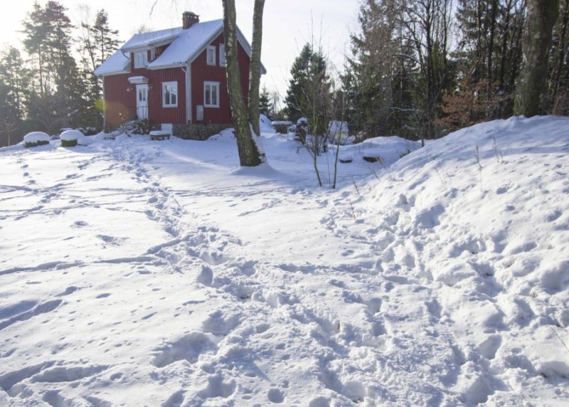 Februarjobber i hagen27_