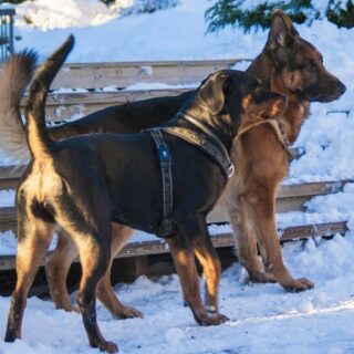 HUSKELISTE FOR JANUAR