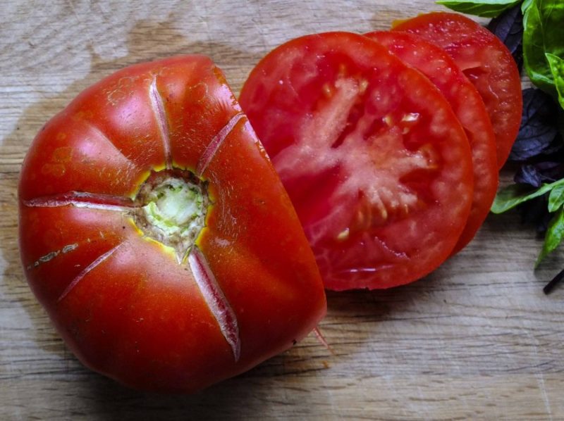 Tomat Super Marmande20_