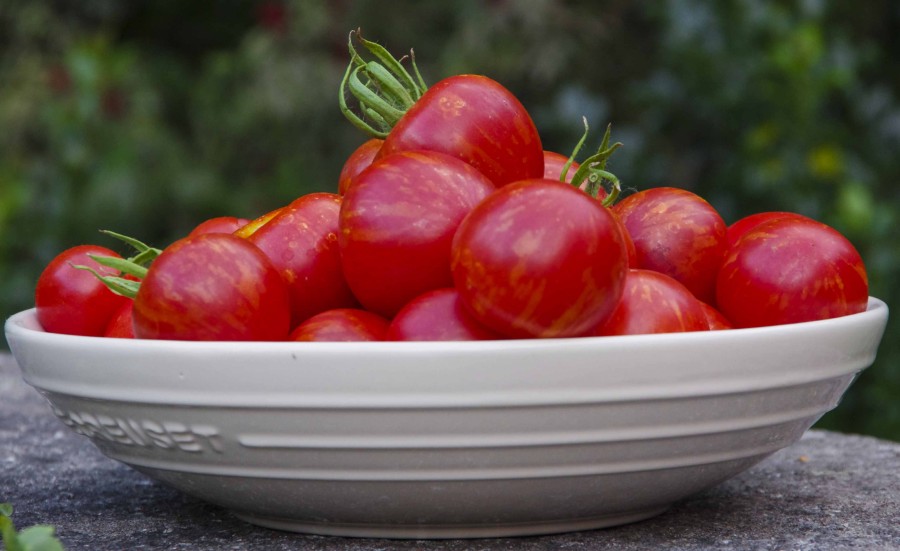 HVILKE TOMATFRØ SKAL DU VELGE?