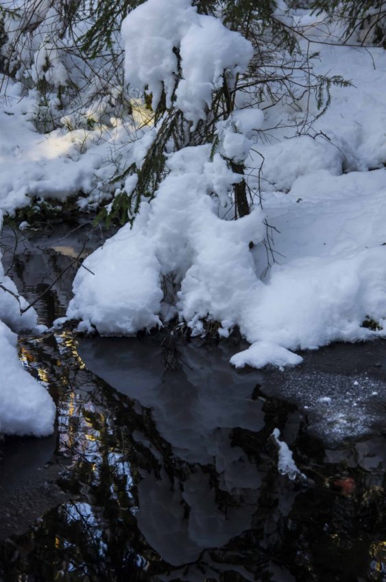 vinter_gaare_jan_14_water20_