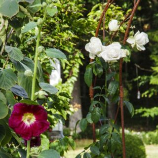VIL DU LAGE DEG ET ROSEBED?