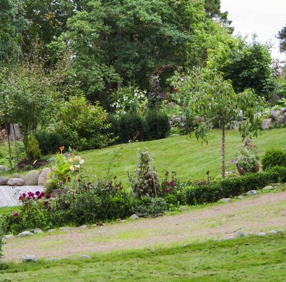 VÅRSTELL AV PLEN