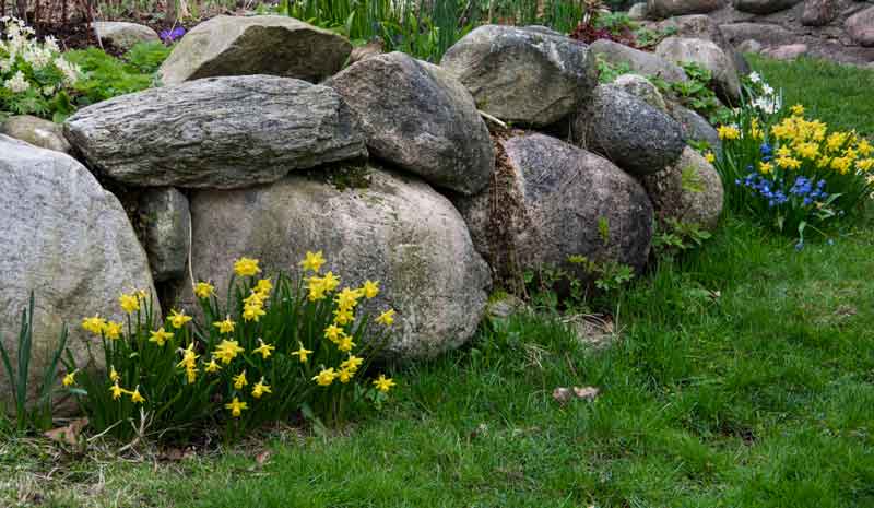 Uteplante inneknoller2_