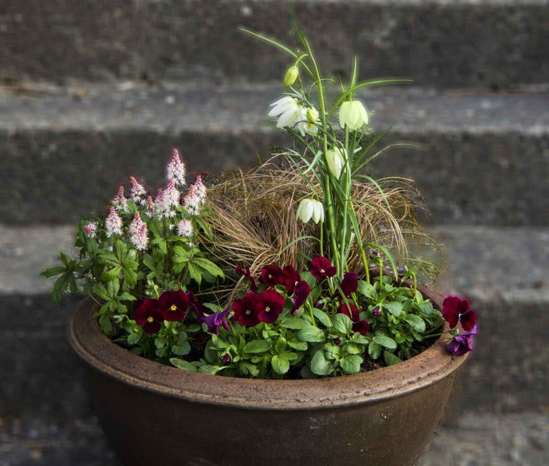 springcontainer_22_