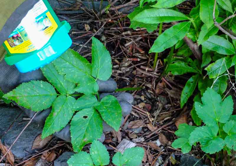 weeds_weekiller_2_