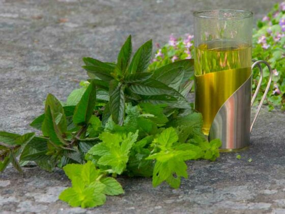 SLIK LAGER DU MYNTE-TE