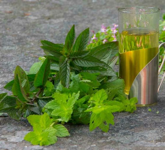 SLIK LAGER DU MYNTE-TE