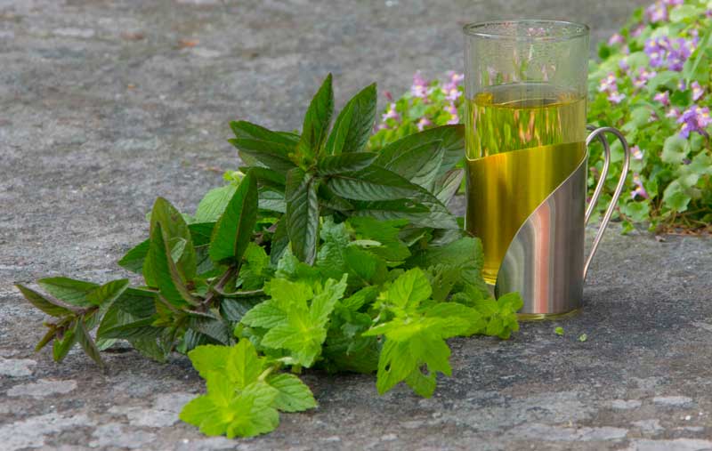 SLIK LAGER DU MYNTE-TE