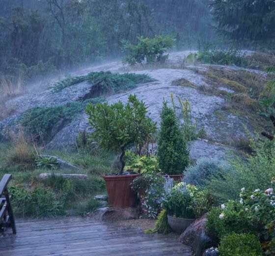 14 DAGER MED REGN