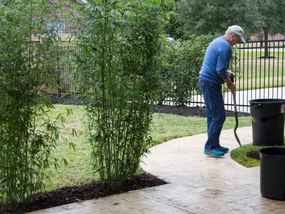 HOW TO MAKE SOME RAPID SCREENING IN THE GARDEN.