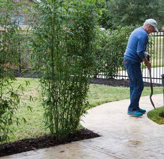 HOW TO MAKE SOME RAPID SCREENING IN THE GARDEN.