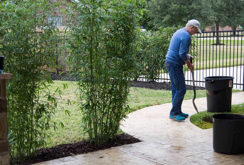 HOW TO MAKE SOME RAPID SCREENING IN THE GARDEN.