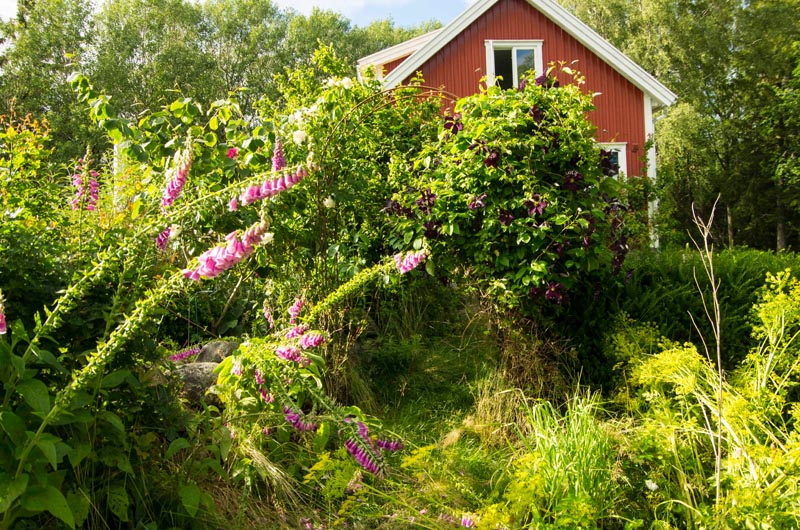 Rainy days Scandinavia8_