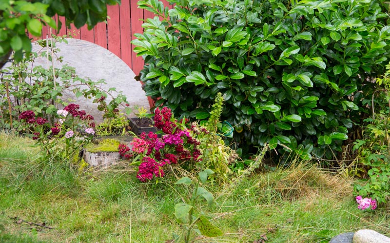 Rainy days Scandinavia4_