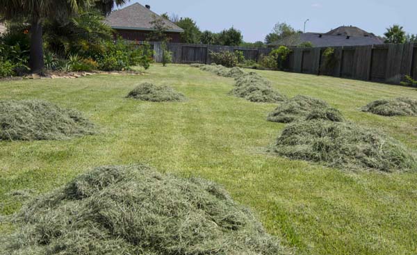 Summerchallenges lawn_