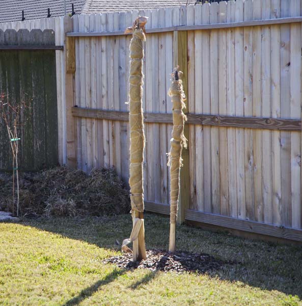 Bananashrub burlap_