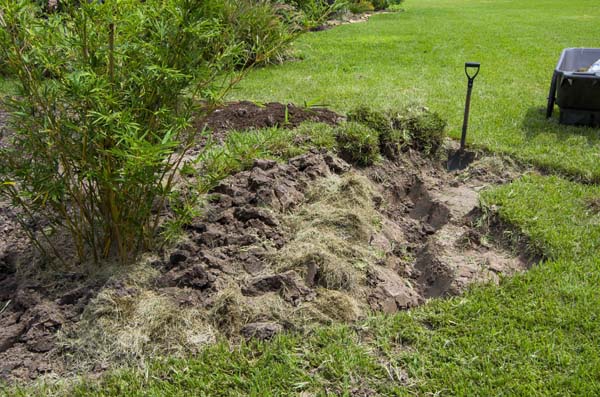 important gardening2_