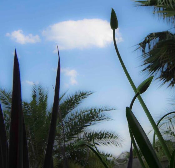 THE MOST IMPORTANT THING ABOUT GARDENING IN HOUSTON