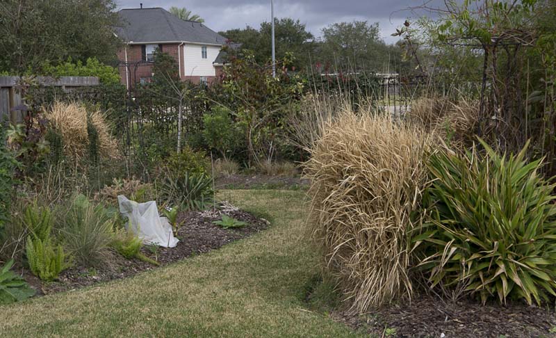 Tidy garden_